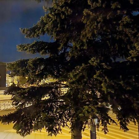 Yellow House シビウ エクステリア 写真