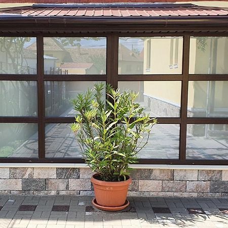 Yellow House シビウ エクステリア 写真